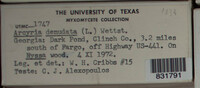 Image Associated With the Occurence